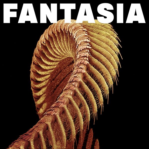FANTASIA cover | SLIFT